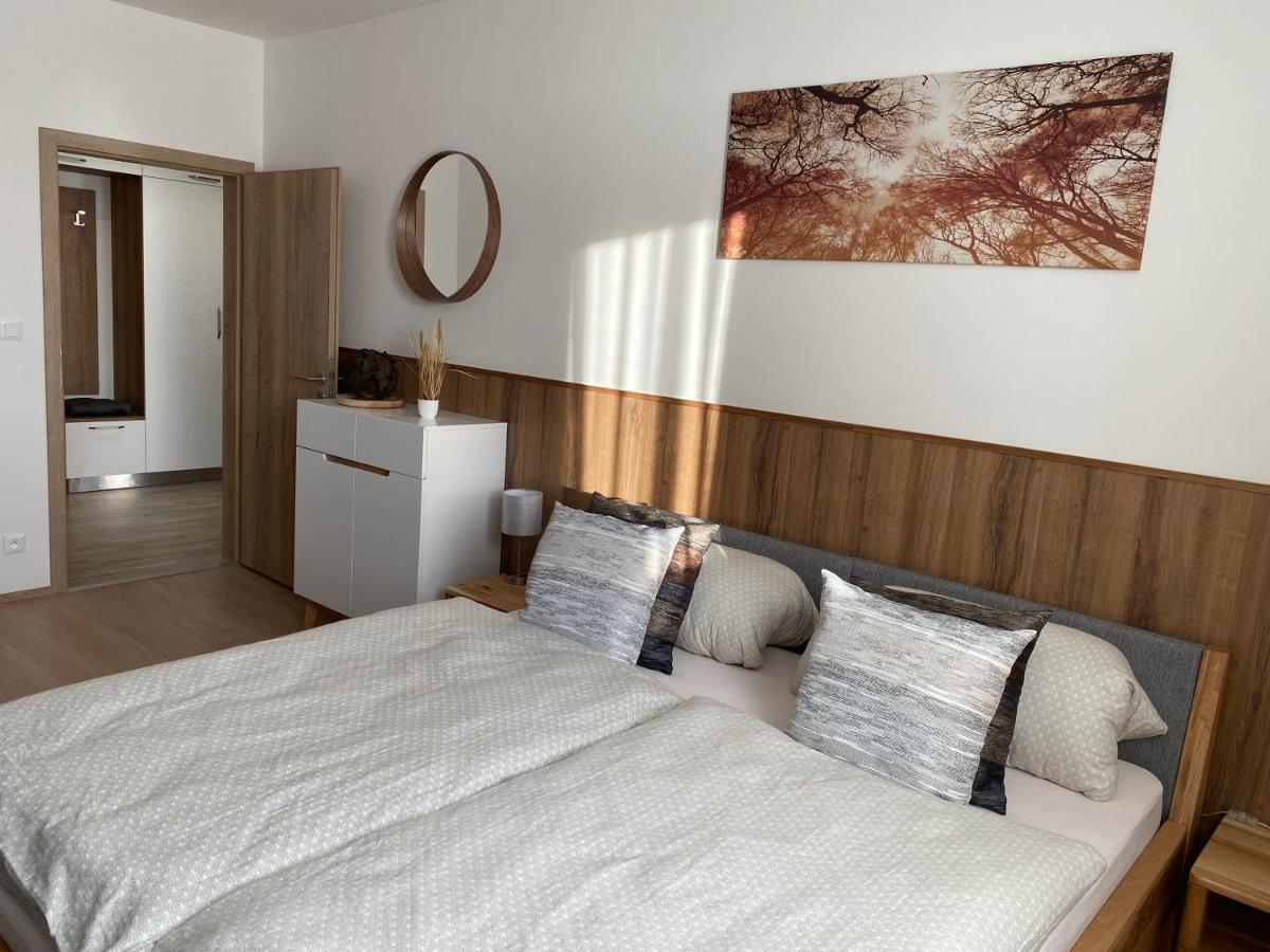 Apartment Petra Klinovec Loučná pod Klínovcem Extérieur photo